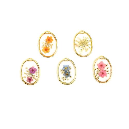 Resin Pendant with Dried Flower & Zinc Alloy Ellipse plated DIY Sold By PC