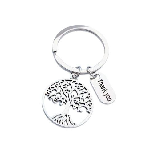 Sinc Alloy Eochair Clasp, unisex, Díolta De réir PC
