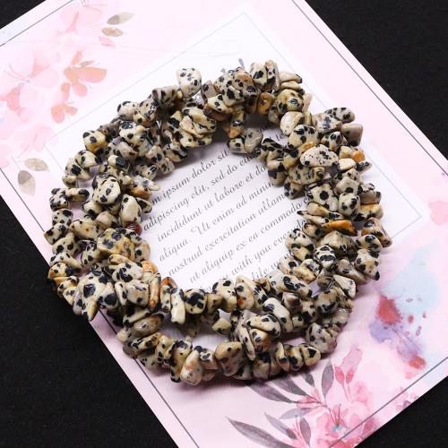 Dalmatian Beads, dalmata, Irregolare, DIY, colori misti, 8mm, Venduto da filo