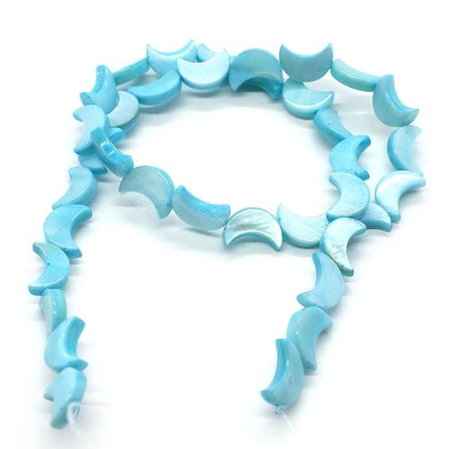 Koraliki z muszli w kolorze naturalnym , Muszla, DIY, niebieski, sprzedane przez Strand