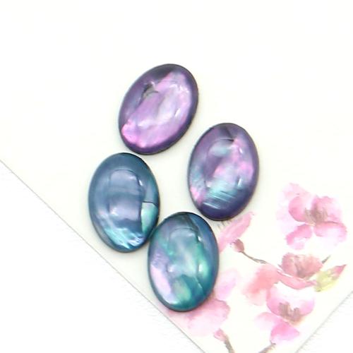 Shell Paper Cabochon with Epoxy Sticker mixed colors DIY Sold By PC