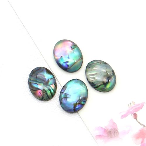  Shell Paper Cabochon with Epoxy Sticker mixed colors DIY Sold By PC