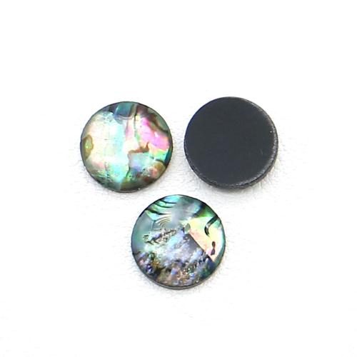 Shell Cabochons, Abalone Shell, Krug, možete DIY, miješana boja, 12x12mm, Prodano By PC