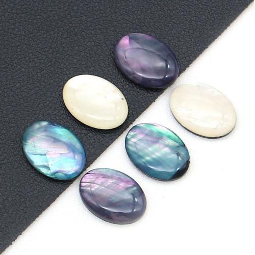 Shell Cabochons, Abalone Shell, s Smola, možete DIY, više boja za izbor, Prodano By PC