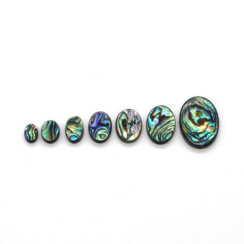 Abalone -Shell-Beads, conchiglia Abalone, naturale & DIY & formato differente per scelta, Venduto da PC