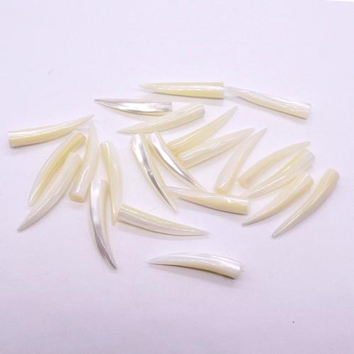 Grânulos de casca de lábio branco, White Lip Shell, Chifre, natural & DIY & não porosa, 5x30mm, vendido por PC
