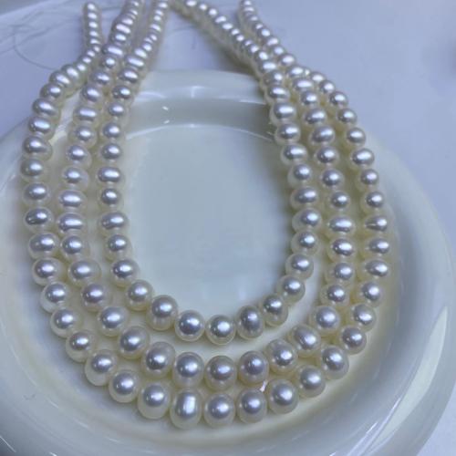 Natural de água doce pérolas pérolas soltas, Pérolas de água doce, Oval, DIY, branco, 8x9mm, vendido por Strand