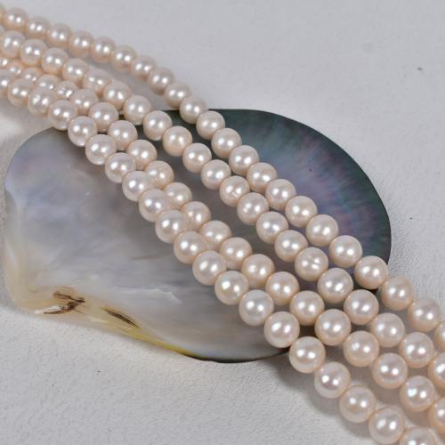 Přírodní sladkovodní perly perlí, Sladkovodní Pearl, Mírně kulaté, DIY, bílý, 9x10mm, Prodáno By Strand