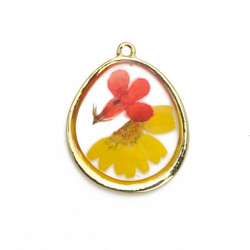 Sárgaréz Függő, -val Szárított virág & Gyanta, galvanizált, DIY, kevert színek, nikkel, ólom és kadmium mentes, 28.08x3.41x35mm, Által értékesített PC