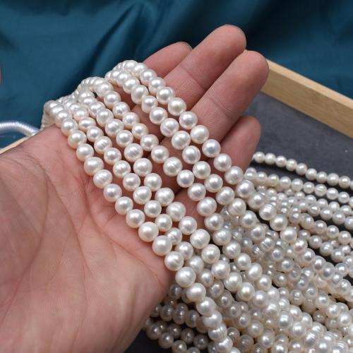 Přírodní sladkovodní perly perlí, Sladkovodní Pearl, Flat Round, DIY, bílý, 7x7mm, Prodáno By Strand
