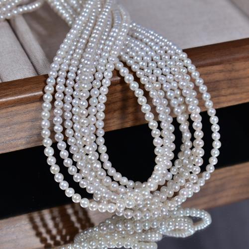 Přírodní sladkovodní perly perlí, Sladkovodní Pearl, Mírně kulaté, DIY, bílý, 3x4mm, Prodáno By Strand