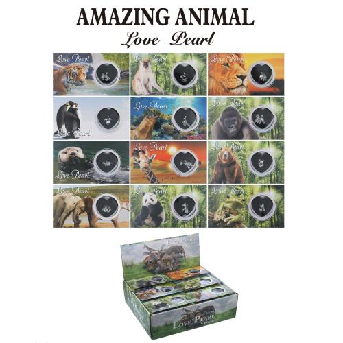 Oyster & Wish Pearl Kit, Freshwater Pearl, med Mässing, plated, mode smycken, fler färger för val, nickel, bly och kadmium gratis, 6-7mm, Säljs av PC