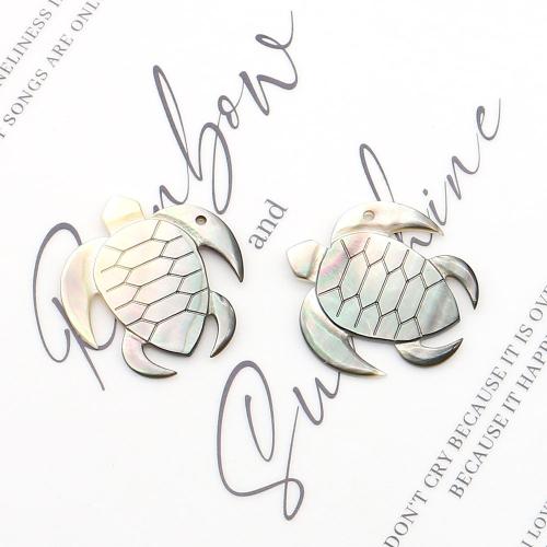 Ciondoli a conchiglia nera naturale, Nero-Lip-Shell, Tartaruga, DIY, colori misti, 29x31mm, Venduto da PC