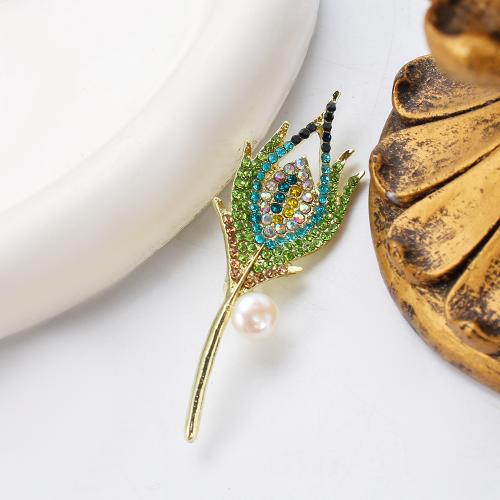 Broche perle d'eau douce, alliage de zinc, avec perle d'eau douce cultivée, Placage de couleur d'or, bijoux de mode & avec strass, plus de couleurs à choisir, 19.52x8.70x63.60mm, Vendu par PC