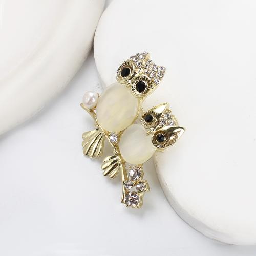 Sladkovodní Pearl Brož, Zinek, s Kočky Eye & Sladkovodní Pearl, barva pozlacený, módní šperky & s drahokamu, více barev na výběr, 47.83x10.78x43.48mm, Prodáno By PC