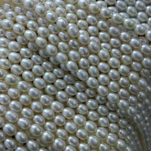 Grânulos de pérolas  cultivadas de água doce  de froma de arroz, Pérolas de água doce, DIY, branco, 5-6mm, vendido para 38 cm Strand