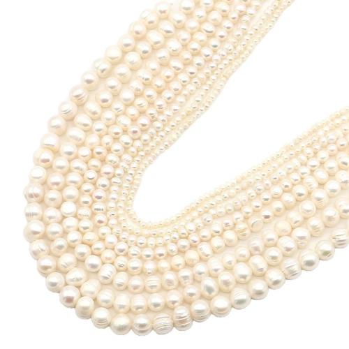 Brambor pěstované sladkovodní perle, Sladkovodní Pearl, Nepravidelné, DIY, smíšené barvy, Prodáno za 38 cm Strand