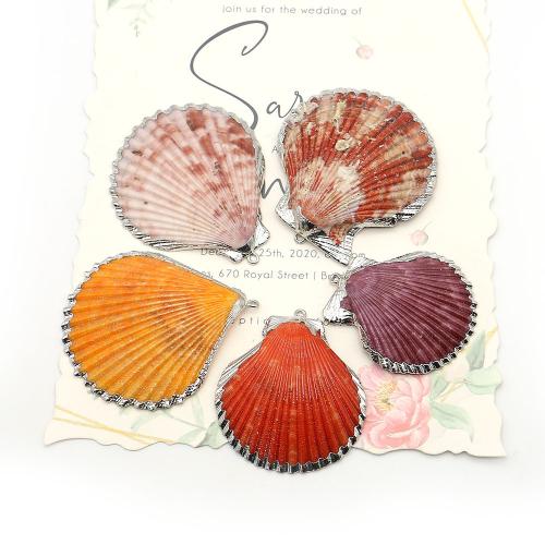 Shell Hangers, Schelp, met Ijzer, Schelp, silver plated, DIY, gemengde kleuren, 39x45mm-51x56mm, Verkocht door PC