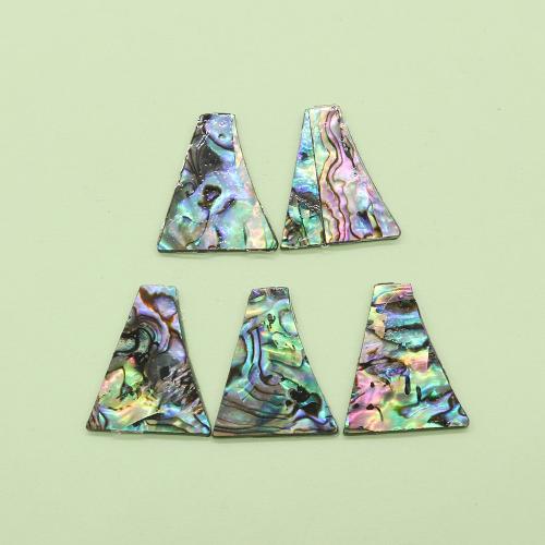 Wisior z powłoki, Muszla Abalone, ze Mosiądz, DIY, mieszane kolory, sprzedane przez PC