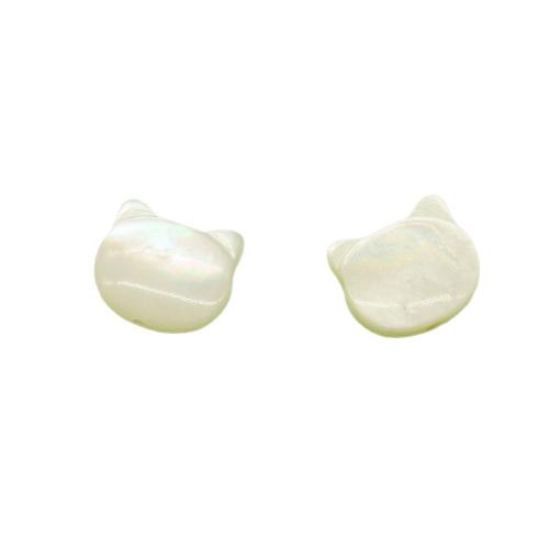 Natural Sea Shell Beads, conchiglia, Gatto, DIY, colori misti, Venduto da PC