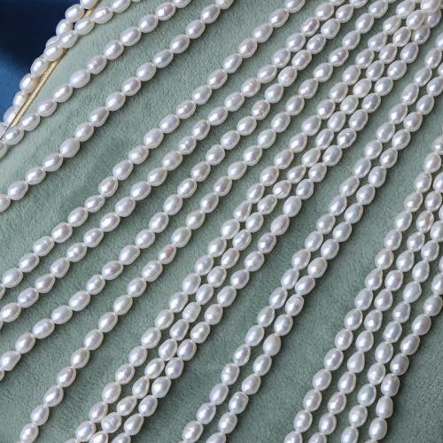 Perles d'eau douce de culture de riz, perle d'eau douce cultivée, DIY, blanc, 3.8-4mm, Vendu par 38 cm brin