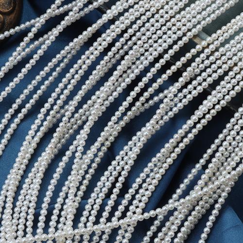 Kulaté kultivované sladkovodní perle, Sladkovodní Pearl, Kolo, DIY, bílý, 3-3.5mm, Prodáno za 40 cm Strand