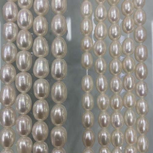 Rýže kultivované sladkovodní perle, Sladkovodní Pearl, DIY, bílý, 5-8mm, Prodáno za 38 cm Strand