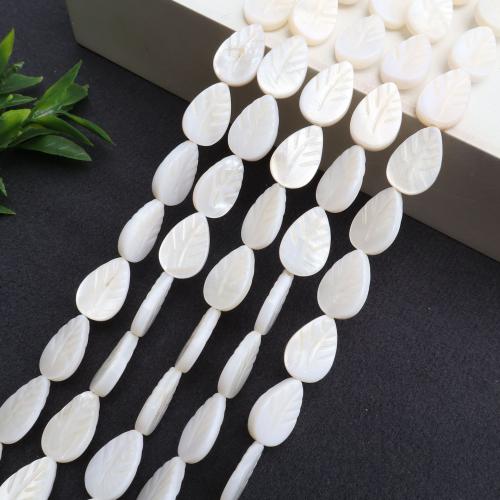 Gamtos Gėlavandeniai Shell karoliukai, Apvalkalas, Pasidaryk pats, daugiau spalvų pasirinkimas, Parduota už 38 cm Strand