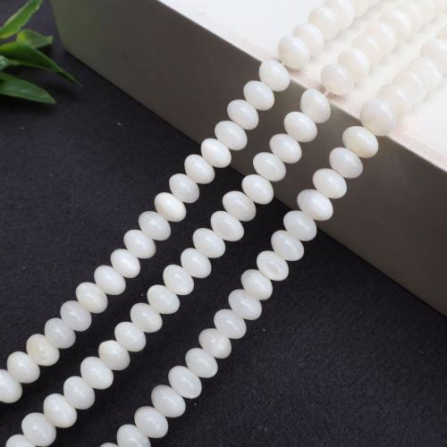 Grânulos do escudo de água doce natural, concha, DIY, Mais cores pare escolha, vendido para 38 cm Strand