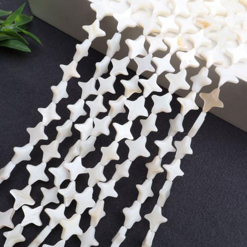 Grânulos do escudo de água doce natural, concha, DIY, Mais cores pare escolha, vendido para 38 cm Strand