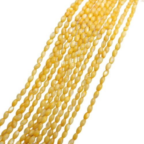 Contas de conchas coloridas naturais, concha, DIY, Mais cores pare escolha, 3x5mm, vendido para 38 cm Strand