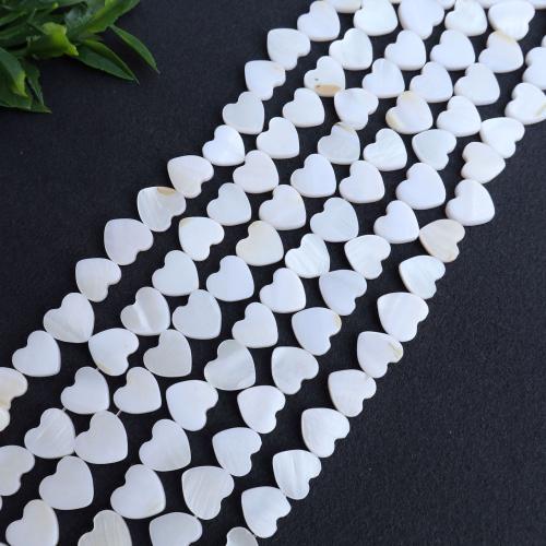 Grânulos do escudo de água doce natural, concha, Coração, DIY, branco, vendido para 38 cm Strand