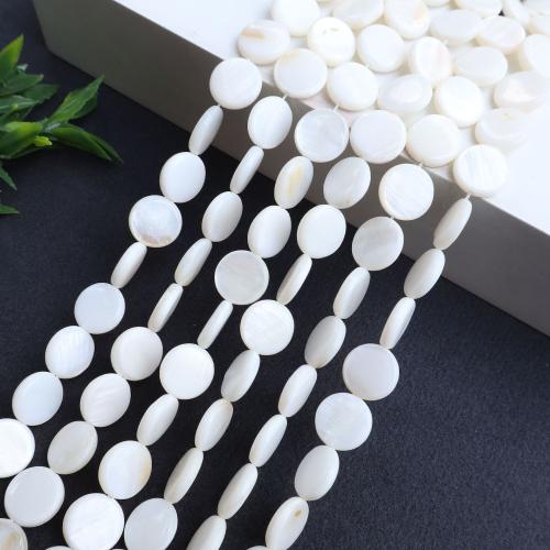 Grânulos do escudo de água doce natural, concha, Roda plana, DIY, branco, vendido para 38 cm Strand
