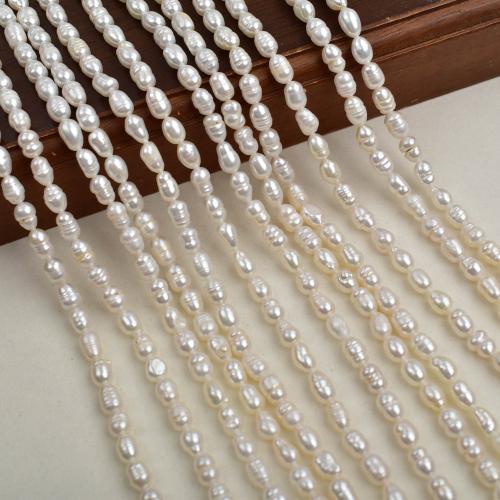 Rýže kultivované sladkovodní perle, Sladkovodní Pearl, DIY, bílý, 4-5mm, Prodáno za 36 cm Strand