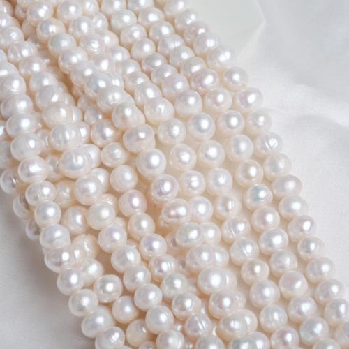 Brambor pěstované sladkovodní perle, Sladkovodní Pearl, Baroko, DIY, bílý, 9-10mm, Prodáno za 38 cm Strand