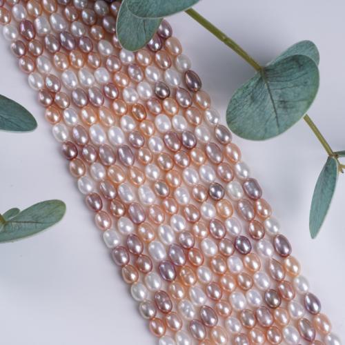Rýže kultivované sladkovodní perle, Sladkovodní Pearl, DIY, více barev na výběr, 5-6mm, Prodáno za 36 cm Strand