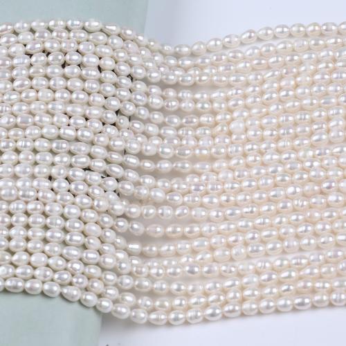 Rýže kultivované sladkovodní perle, Sladkovodní Pearl, DIY, bílý, 3.5-4.5mm, Prodáno za 38 cm Strand