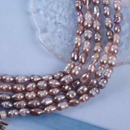 Rýže kultivované sladkovodní perle, Sladkovodní Pearl, DIY, nachový, 5-6mm, Prodáno za 18 cm Strand
