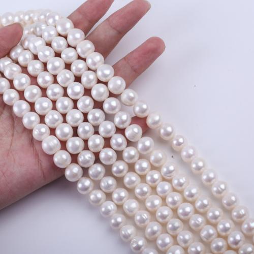 Brambor pěstované sladkovodní perle, Sladkovodní Pearl, Mírně kulaté, DIY, bílý, 10-11mm, Prodáno za 37 cm Strand