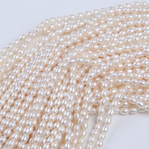 Rýže kultivované sladkovodní perle, Sladkovodní Pearl, DIY, bílý, 3-9mm, Prodáno za 37 cm Strand
