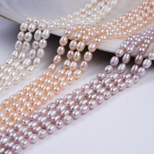 Rýže kultivované sladkovodní perle, Sladkovodní Pearl, DIY, více barev na výběr, 6-7mm, Prodáno za 36 cm Strand