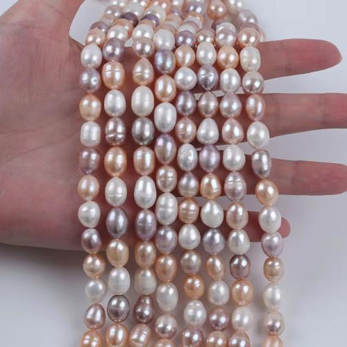 Rýže kultivované sladkovodní perle, Sladkovodní Pearl, DIY, více barev na výběr, 8-9mm, Prodáno za 36 cm Strand