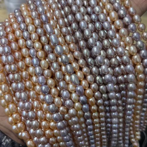 Rýže kultivované sladkovodní perle, Sladkovodní Pearl, DIY, více barev na výběr, 6-7mm, Prodáno za 37 cm Strand