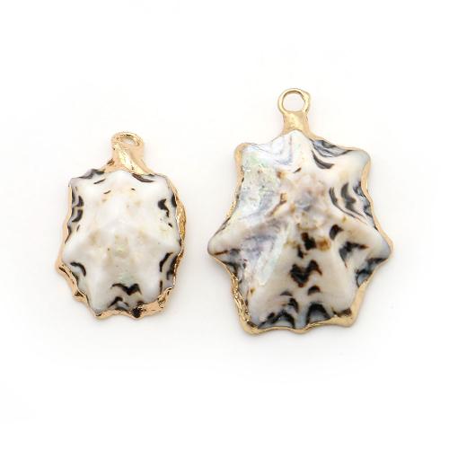 Shell Privjesci, Školjka, s Mesing, pozlaćen, možete DIY, miješana boja, 17x25mm-24x33mm, Prodano By PC