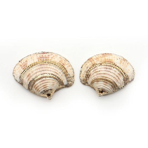 Shell Privjesci, Školjka, s Mesing, Školjka, pozlaćen, možete DIY, miješana boja, 41x36mm-46x38mm, Prodano By PC