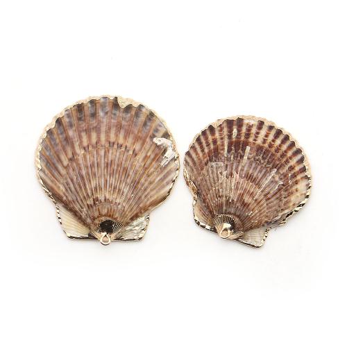 Shell Privjesci, Školjka, s Mesing, Školjka, pozlaćen, možete DIY, miješana boja, 43x44mm-48x52mm, Prodano By PC