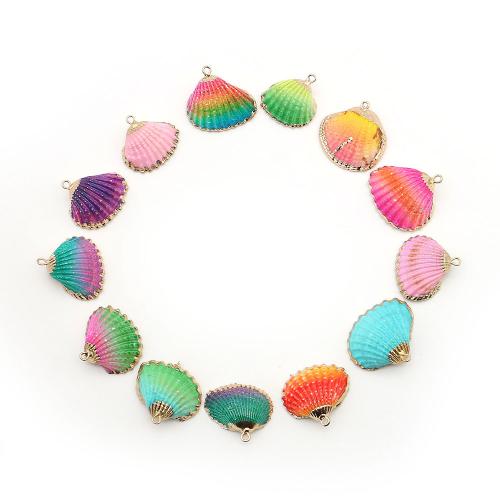 Shell Privjesci, Školjka, s Mesing, Školjka, pozlaćen, obojena & možete DIY, više boja za izbor, 22x22mm-31x29mm, Prodano By PC