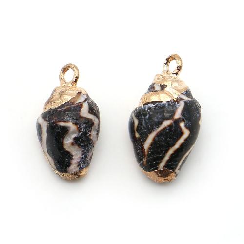 Shell Privjesci, Školjka, s Mesing, Ljuštura, pozlaćen, možete DIY, miješana boja, 9x16mm-10x18mm, Prodano By PC