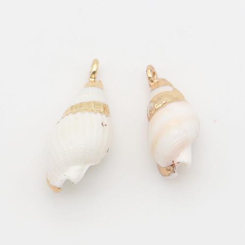 Shell Privjesci, Školjka, s Mesing, Ljuštura, pozlaćen, možete DIY, miješana boja, 9x19mm-10x23mm, Prodano By PC