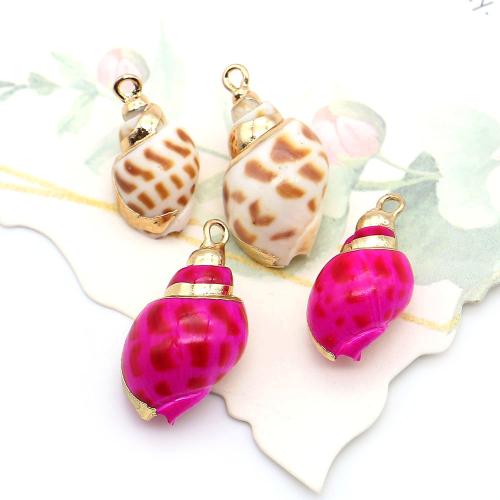 Shell Privjesci, Školjka, s Mesing, Ljuštura, pozlaćen, obojena & možete DIY, miješana boja, 11x18mm-13x24mm, Prodano By PC